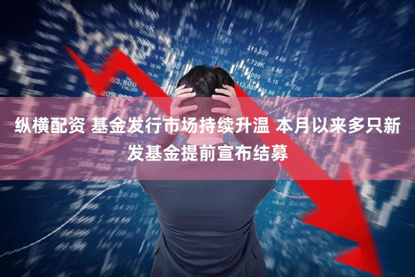纵横配资 基金发行市场持续升温 本月以来多只新发基金提前宣布结募