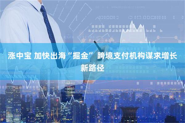 涨中宝 加快出海“掘金” 跨境支付机构谋求增长新路径