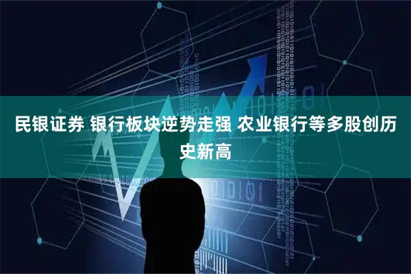 民银证券 银行板块逆势走强 农业银行等多股创历史新高