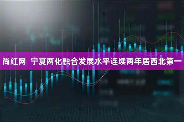 尚红网  宁夏两化融合发展水平连续两年居西北第一